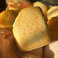 Custard Toast Squishy