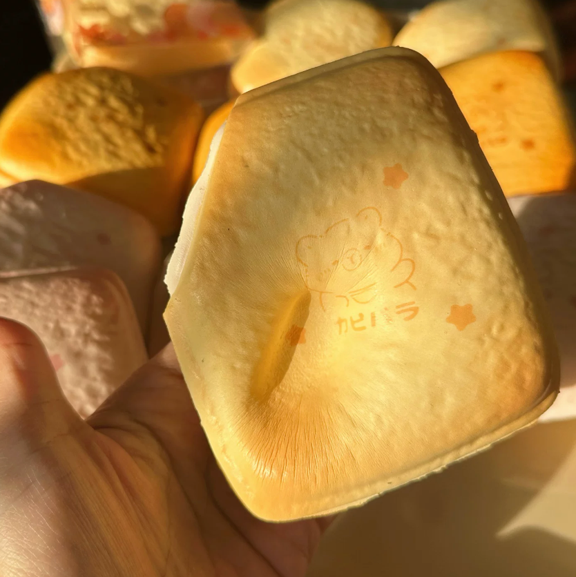 Custard Toast Squishy