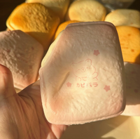 Custard Toast Squishy