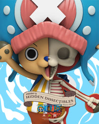 Freeny’s Hidden Dissectibles: One Piece Blind Box