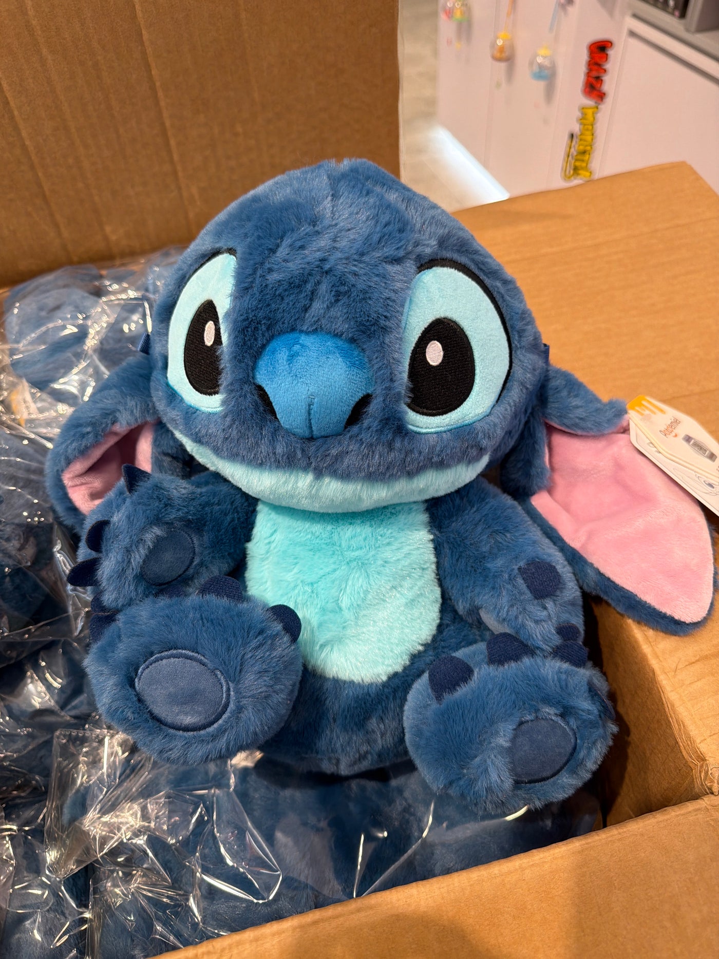 HWBD2249 stitch sitting