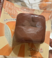 Hawaiian Roll Squishy