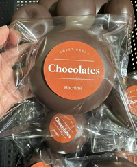 Chocolate Mochi Squishy