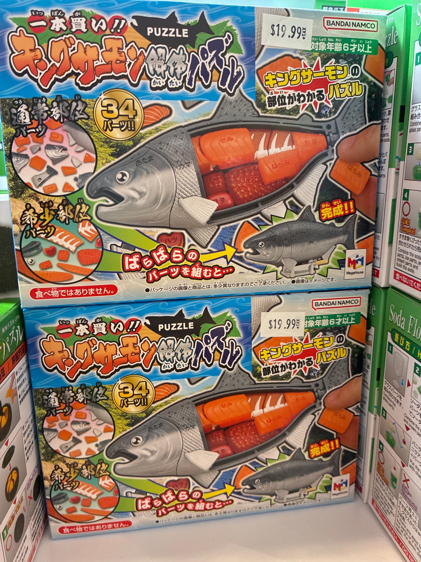 Salmon Puzzle