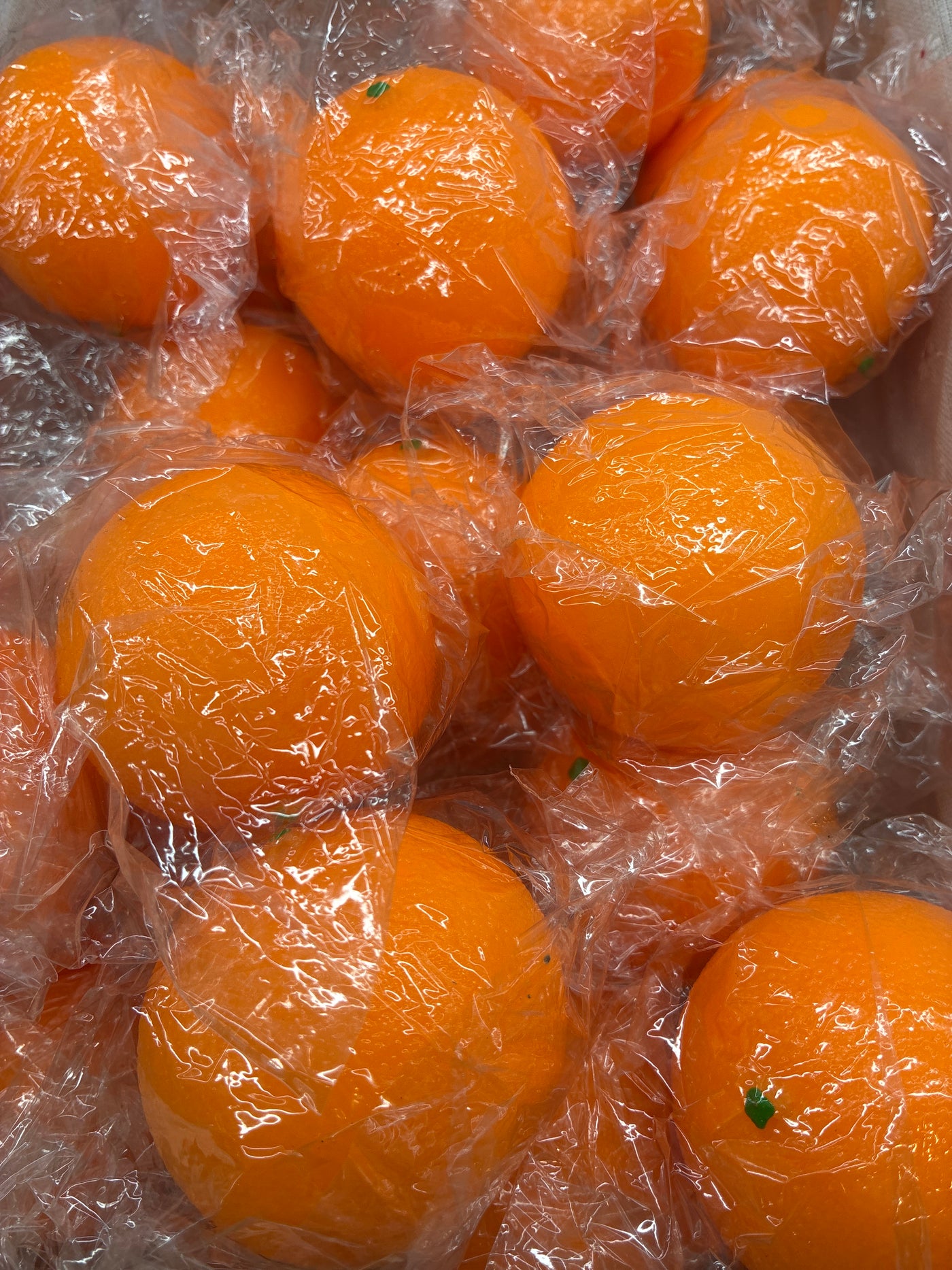 Orange Squishy