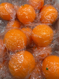 Orange Squishy