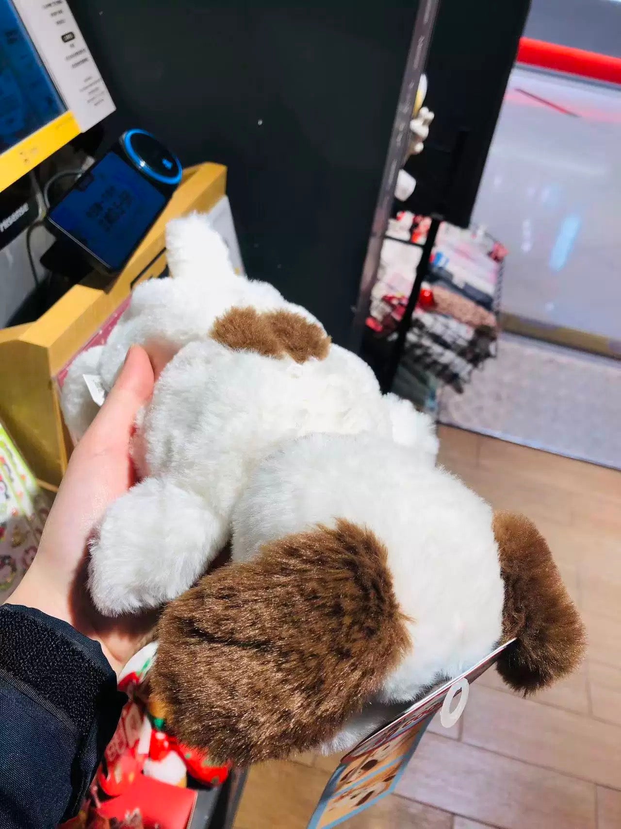 Snoopy Pencil Case