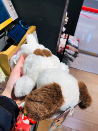 Snoopy Pencil Case