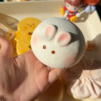Packaged Buns