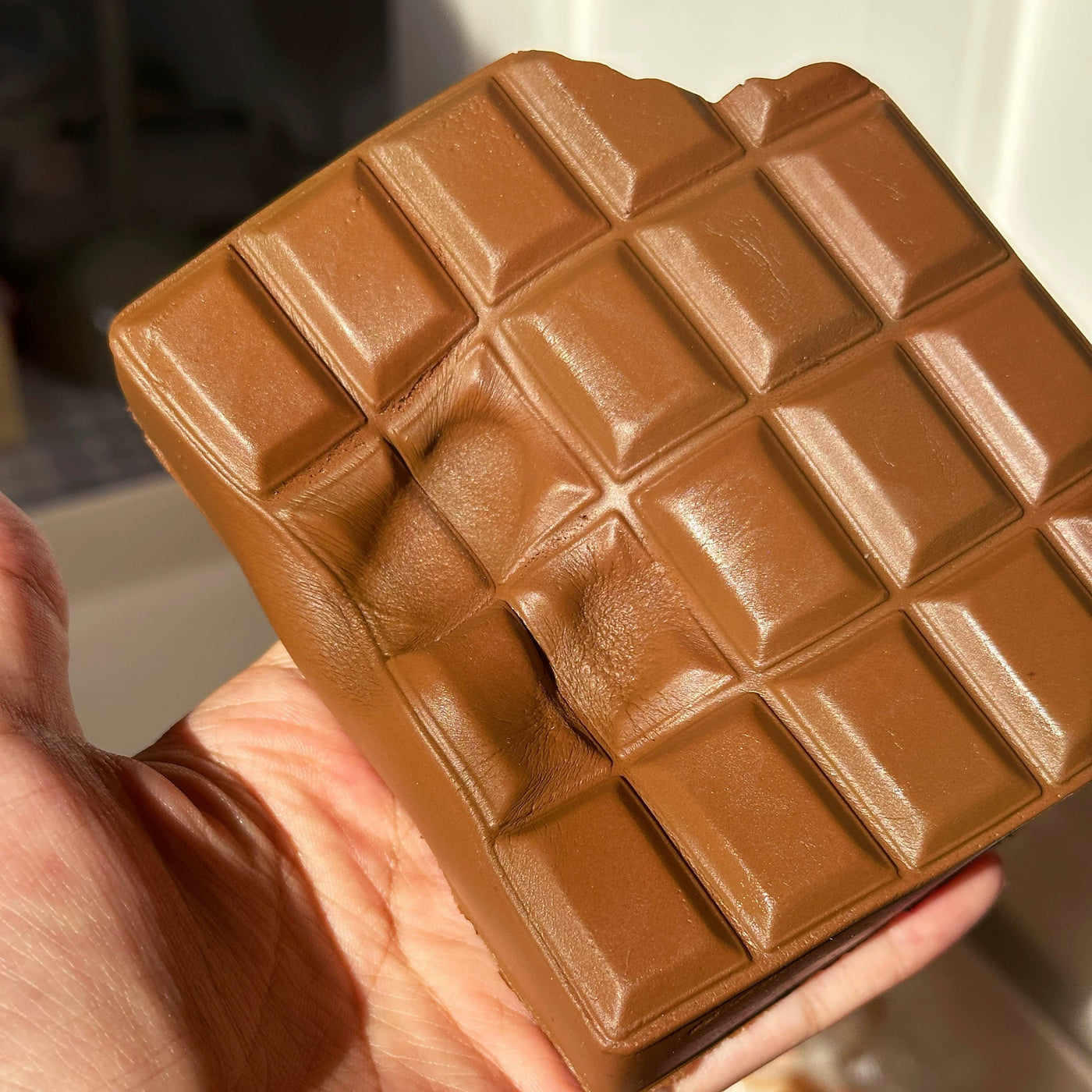 Chocolate Taste Squishy