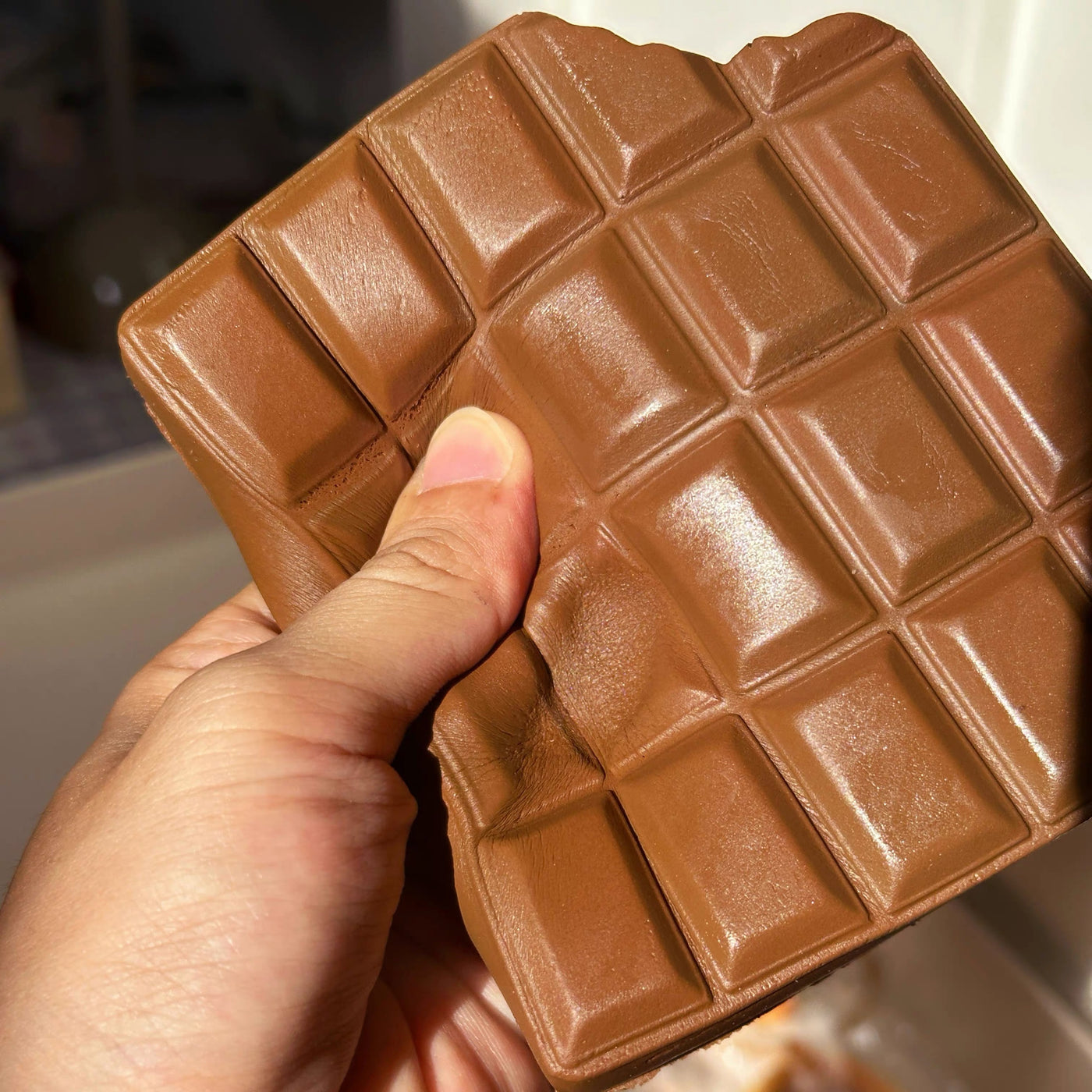 Chocolate Taste Squishy