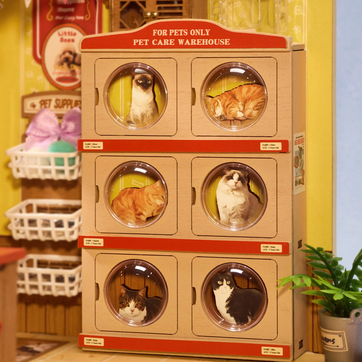 Rolife Fluffy Friends Store DIY Miniature House Kit DG185